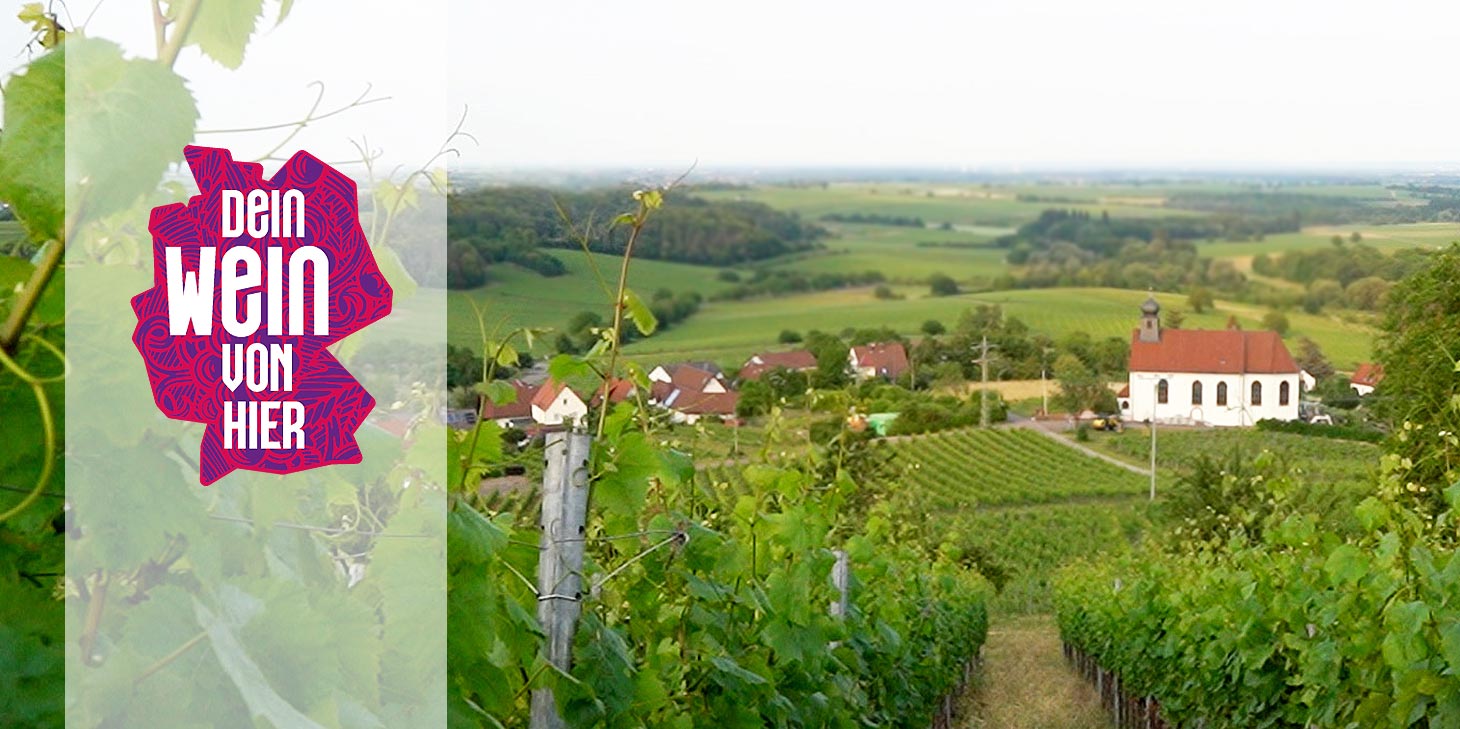 dein-wein-von-hier-verein-zukunftsinitiative-deutscher-weinbau Sein Wein von hier