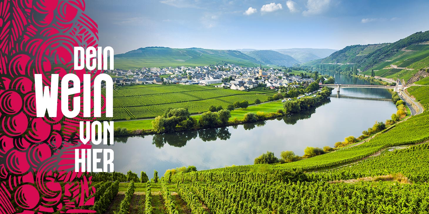 dein-wein-von-hier_zukunftsinitiative-deutscher-weinbau_ Zukunftsinitiative Deutscher Weinbau e.V. - Dein Wein von hier