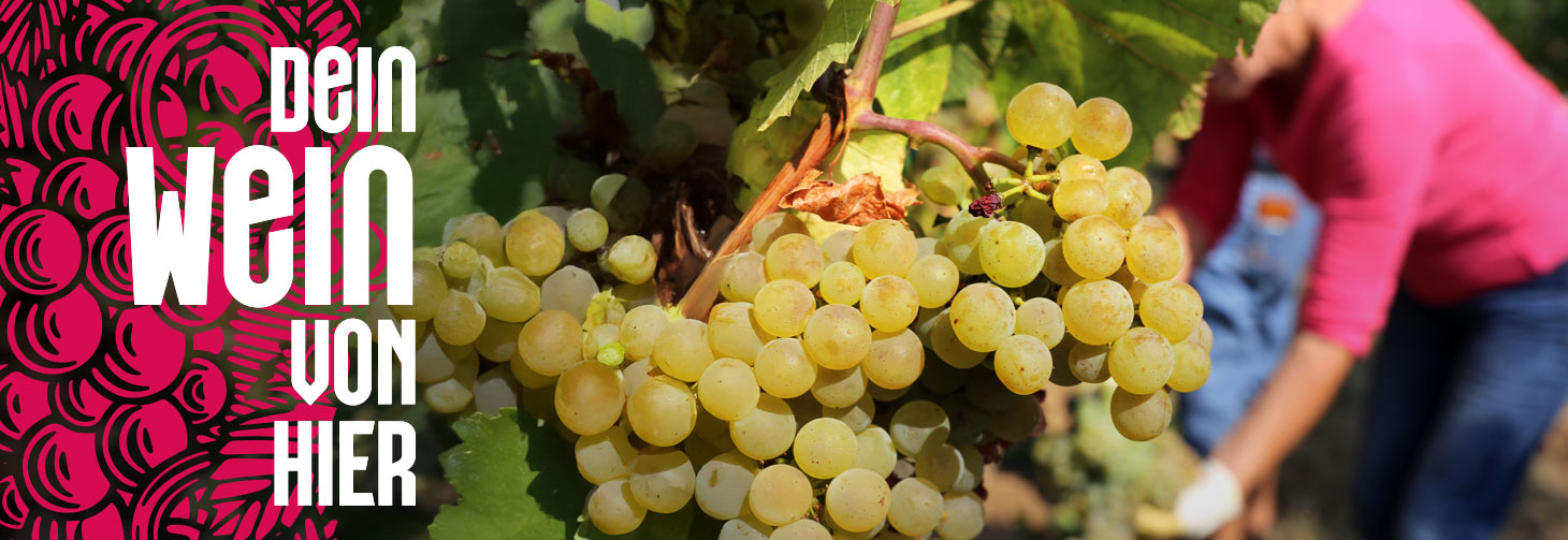 Wein aus Deutschland - Dein Wein von hier Wein aus Deutschland